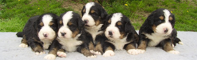 Ursula - Ubul - Uranus - Ursus - Ursa